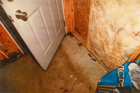 maggie murdaugh leaked autopsy photos|Alex Murdaugh trial: Autopsy photos shown, and witnesses paint。